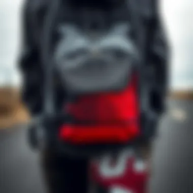Magnificent Comprehensive Analysis of the Grey North Face Bookbag in Skateboarding Culture Magnificent Comprehensive Analysis of the Grey North Face Bookbag in Skateboarding Culture