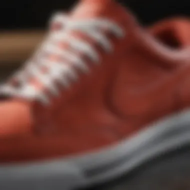 Close-up of Nike Low Top Sneakers design elements