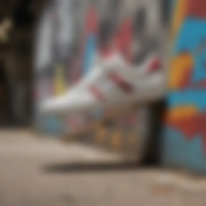 Artistic representation of Oakmont TR sneakers against a graffiti backdrop, symbolizing skate culture.