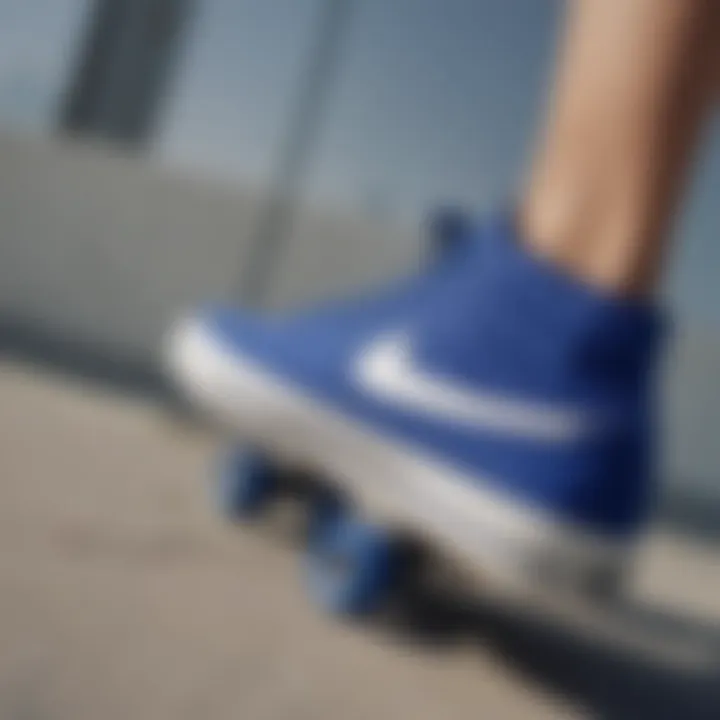 Cultural impact of Royal Blue Nike Pros on skateboarding