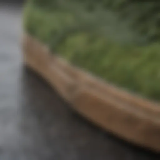 A close-up view of moss green Vans showcasing their texture and detailing