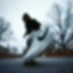 Exploring the Essence of Black and White Nike Blazers in Skate Culture Introduction