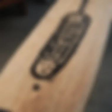 Skateboard deck featuring Nike SB branding