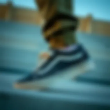 Exploring the Timeless Appeal of Vans Old Skool Low Introduction Exploring the Timeless Appeal of Vans Old Skool Low Introduction