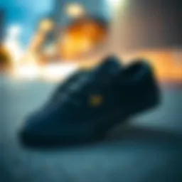 Exploring Vans Era 59 Skate Shoes: A Deep Dive Introduction
