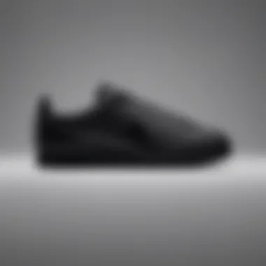 Sleek Design of the Nike Cortez Triple Black Nylon Side view showcasing the sleek design of the Nike Cortez Triple Black Nylon