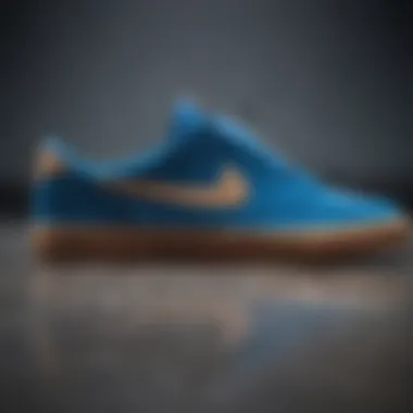 Cultural significance of the Nike SB Heritage Vulc Blue in skateboarding