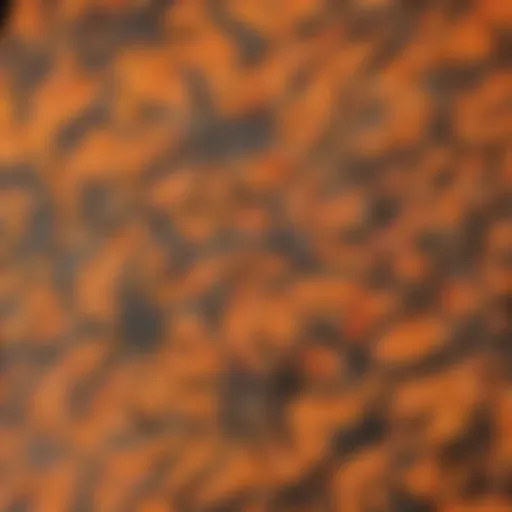 A close-up view of the intricate pattern of an orange camo vest