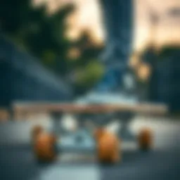 Classic Papaison Skate Design