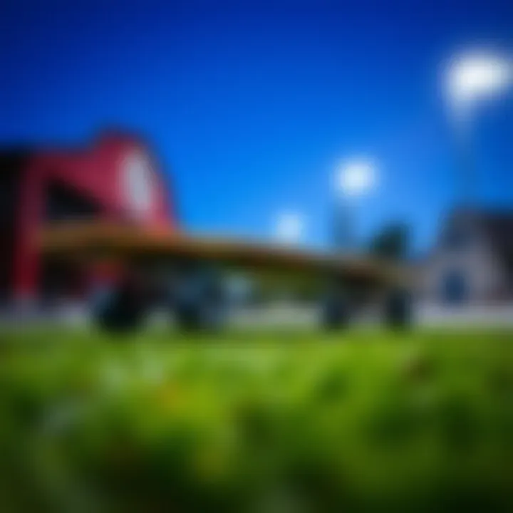 A vibrant Sector 9 longboard showcasing its unique design.