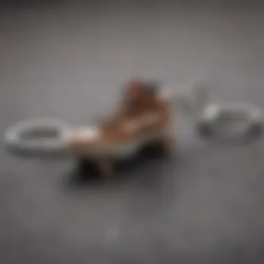 Diverse Aesthetic: The Style of Keychains A collection of stylish skate tool keychains