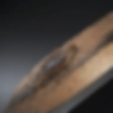 Materials That Define Performance Close-up of high-quality materials used in skateboard decks