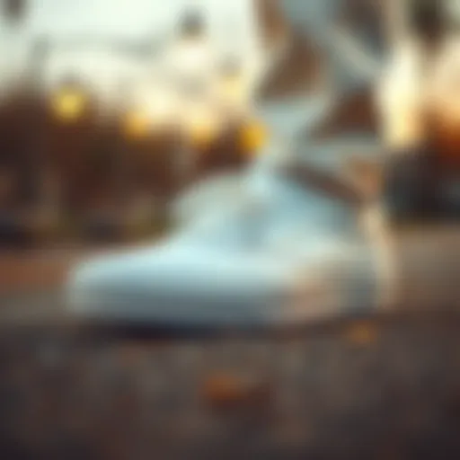 Classic skateboarding footwear in pristine white