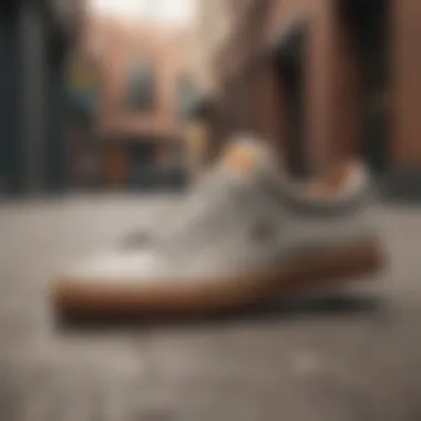 Trendy Skate Shoe Design Innovative skate shoe design showcasing style