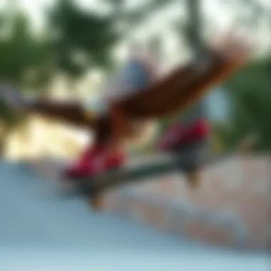 The Dynamic Interplay of Flying Eagles, F4, and Raven Skates in Skate Culture Summary