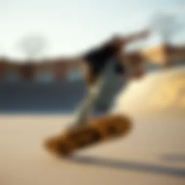 The Influence of Jeff Grosso's Deck in Skateboarding Culture Summary