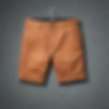 Variety of Dickies shorts styles and colors
