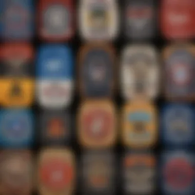 Evolution of Logos in Skateboarding Culture An artistic representation of the evolution of logos in skateboarding culture over the years