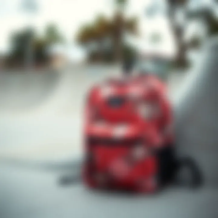 A small floral backpack placed against a backdrop of a skate park, embodying the essence of skate culture.