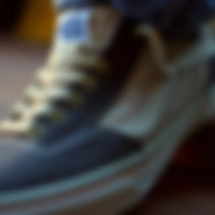 Close-up of materials used in Top Sider Vans construction