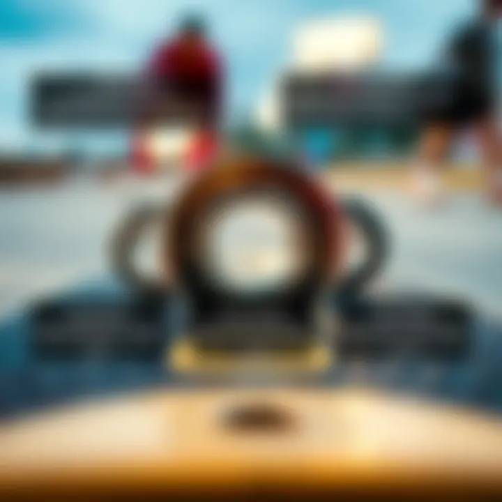 Illustration of various types of skateboard bearings with descriptions