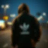 Understanding the Pricing Dynamics of Hoodies Introduction