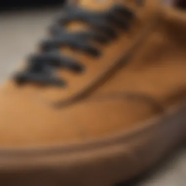 Close-up of Vans Scotchgard suede texture