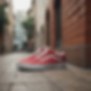 Vans Old Skool displayed in a contemporary urban setting