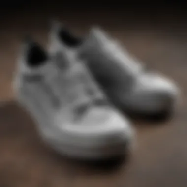 Detailed Design of Vans Ultrajust EXO MTE Close-up view of Vans Ultrajust EXO MTE shoes showcasing their unique design elements.